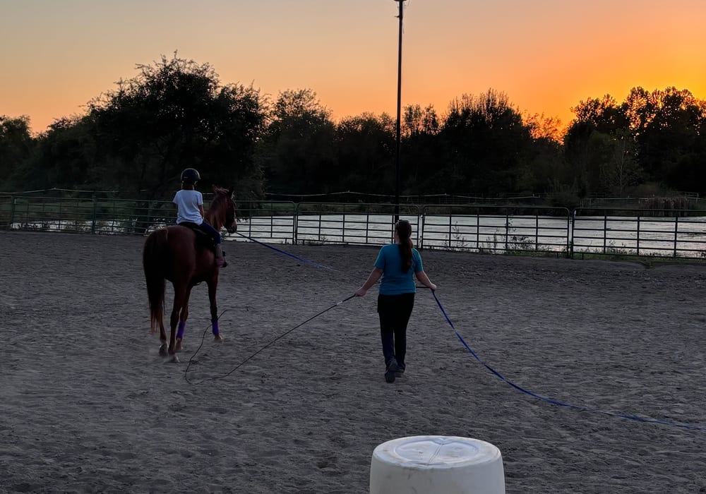 Tiny Tot riding lesson at Ruby Moon Stables