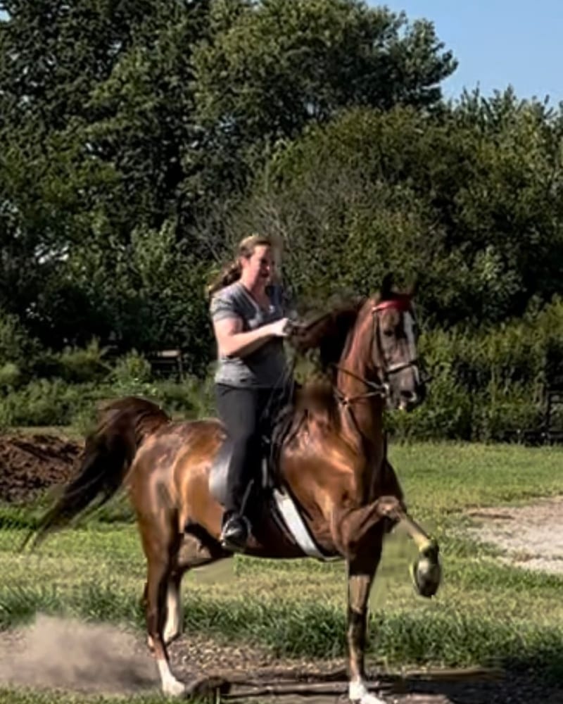 Chelcie, trainer at Ruby Moon Stables
